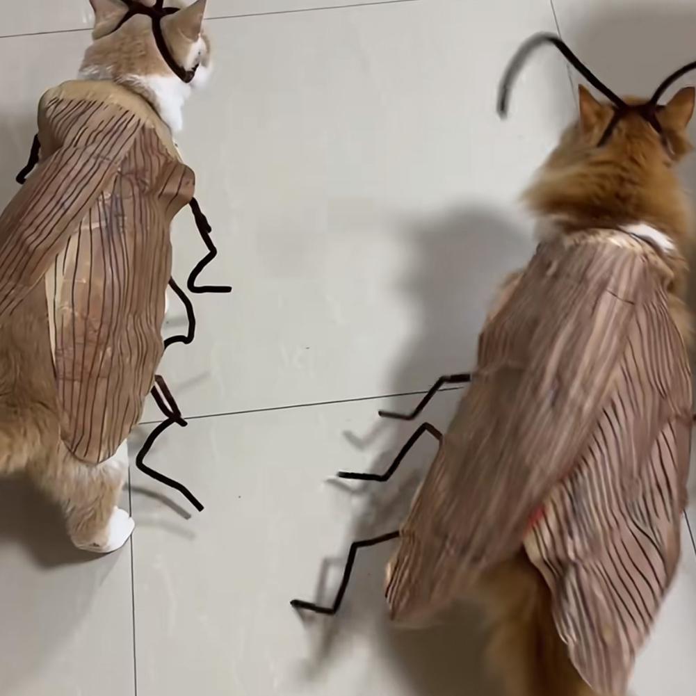 Cat Cockroach Costume –Cat Cockroach Clothing DIY Kit for Halloween, Funny Kitten Cape Craft Set with Wings and Antennae