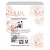 LUX Detox & Anti-bacterial Soap with Peanut Oil 5L Bundle