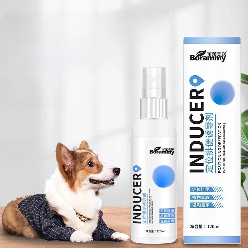 Effektives Stubenreinheitsspray für Hunde zur Standortführung für Urin und Kot