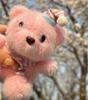 Cute Girl with A Heart Full of Scarf, Soft and Cute Little Bear Plush Pendant Keychain Package, Cute Doll