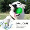 6 palline giocattolo resistenti per cani: Palline squittenti per la pulizia dei denti, il digrignamento e l'addestramento - Sicure per cani di piccola taglia e senza BPA, giocattoli per animali domestici