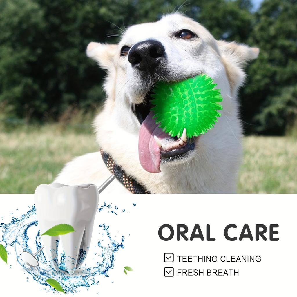 6 palline giocattolo resistenti per cani: Palline squittenti per la pulizia dei denti, il digrignamento e l'addestramento - Sicure per cani di piccola taglia e senza BPA, giocattoli per animali domestici