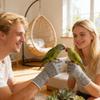 Katzenhandschuhe Bissfest, Kratzfest Bissfest Mehrzweckschutz, Katzenschutzhandschuhe zum Pflegen, Haustier, Papagei, Vogel