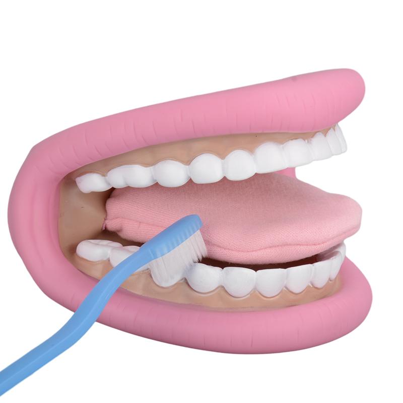 Kids Mouth Hand Puppet 28 Teeth Tongue Mouth Puppet For Speech Improvement Mouth Puppet For Speech Learning