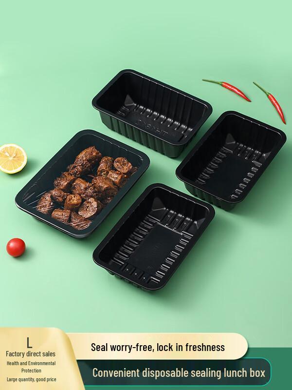 Disposable Food-Grade Takeout Containers