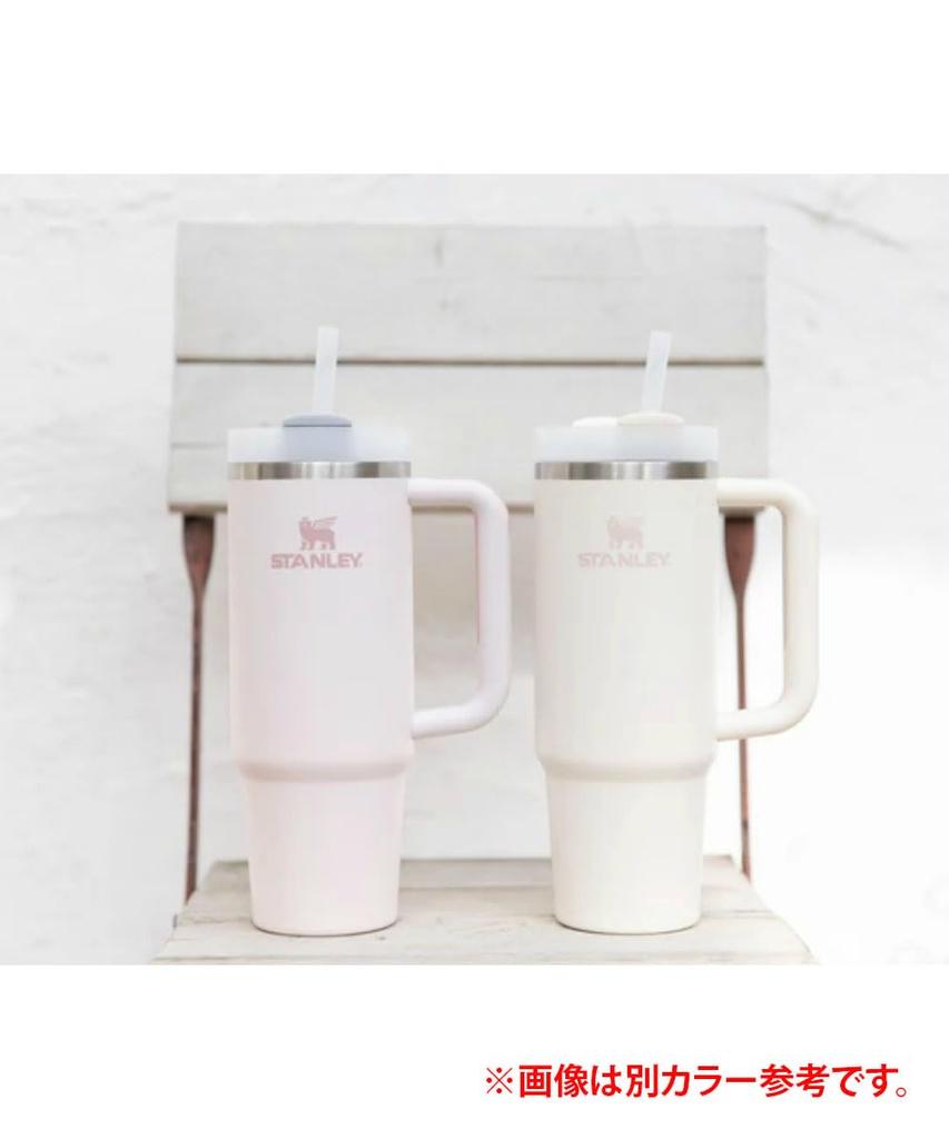 STANLEY Wasserflasche Becher Vakuum Slim Quencher H2.0 0,88L 10-10827-525 (Lavendel/FF)