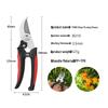 Multi-functional Stainless Steel Pruning Shears for Gardening, Bonsai, Fruit Trees, Grapes, and Peppers.