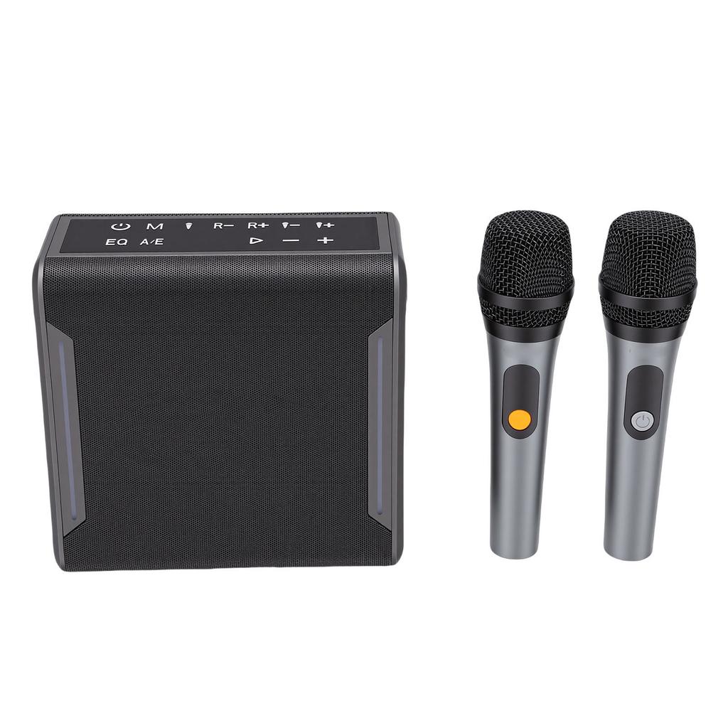 Karaoke-Maschine mit 2 kabellosen Mikrofonen für Erwachsene und Kinder, tragbarer Bluetooth-Lautsprecher mit LED-Lichtern, wasserdicht für