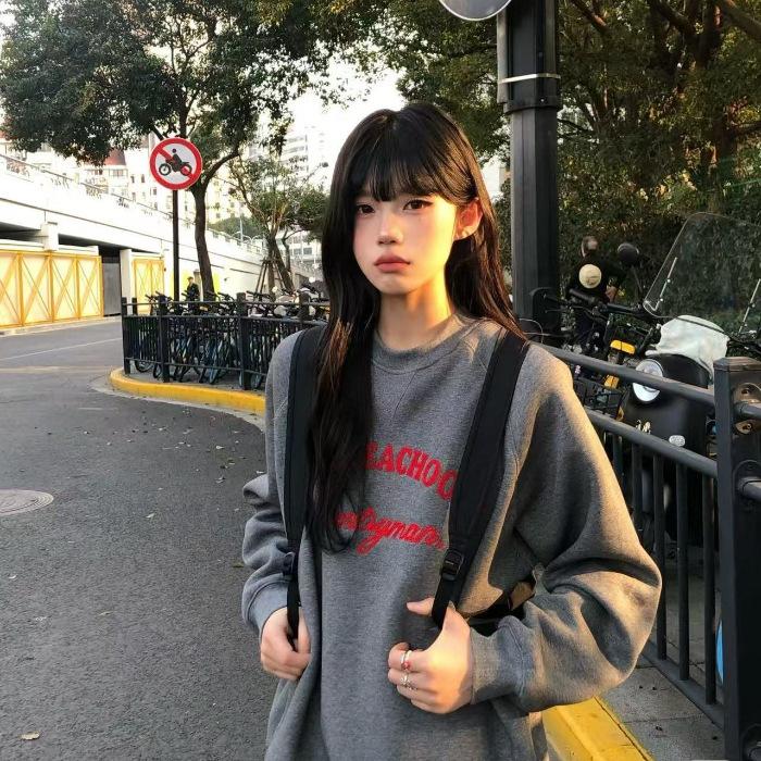 Vintage Gray Embroidered Letter Heavy Sweater Women's Autumn and Winter Velvet Thickened Hoodless Crew Neck Long-sleeved Top