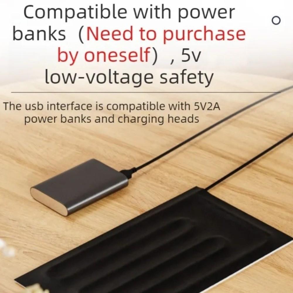 Waterproof USB Reptile Heating Pad Temperature Control Electric Pet Electric Blanket Timing Function Rapid Heating