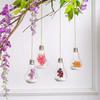 Light Bulb Shaped Outdoor Glass Hanging Planters Plant Pots for Succulent Tillandsia Holder Gift for Home Durable