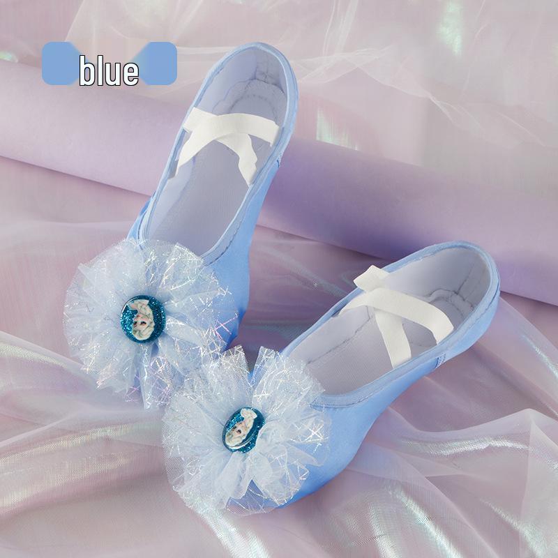 Soft Sole Cat Paw Ballet Dance Shoes for Women and Girls - Spring Style, Multi-color