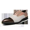 Men's Plus Size Casual Fashion Color Block Pointed Toe Leather Shoes