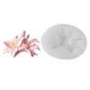Silicone Mould For Crystals Drip Decorations Crafting Candle Soap Chocolate