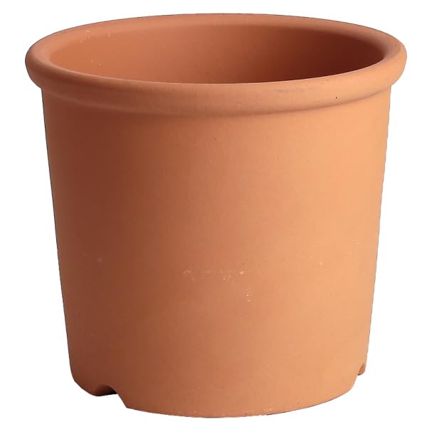 

Горшок Микава яки KANEYOSHI в отечественном Керамический цветочный горшок Микава яки S горшок Акаяки 6 [Сделано в Японии/Надежное качество] №