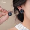 Silver Needle Diamond Black Flower Stud Earrings Commuter Versatile Temperament Earrings Earrings Women