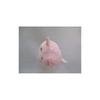 Sanei Boeki Original Plush Toy: Cat Dumpling (Sakura design) W7.5×D6×H7cm Animal