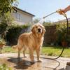 Powerful Outdoor Cleaner High Pressure Aluminum Construction Easy to Carry Portable Washer Furniture Versatile Cleaning Tool
