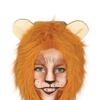 Fiestas Guirca Childrens/Kids Lion Costume Set