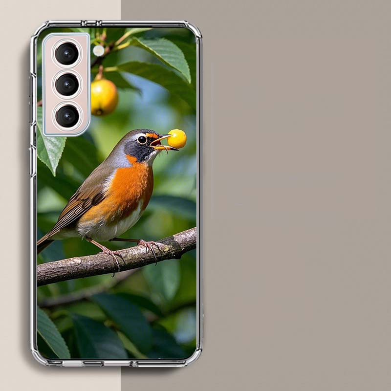 

Robin Bird Phone Case For Samsung Galaxy S25 Edge S24 S23 FE S21 S20 S10 Plus S22 S26 Ultra Cover Clear Cases TPU Capa Shell Coq Samsung S21 FE