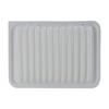 CA10190 Engine Air Filter for Select Toyota, Scion and Pontiac Models