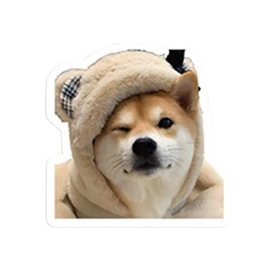 100 stk Søte Hund Meme Klistremerker for Journalføring Bærbar PC Scrapbook Vannflaske Skateboard Vanntett PVC Hundeklistremerker for Barn Tenåringer Jenter Gutter