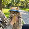 Adjustable Pet Sun Protection Denim Hat Checkered with Ear Hole Dog Fisherman Hat Lightweight Breathable Dog Visor Cap Outdoor