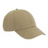 EarthAware Organic Cotton 6 Panel Cap