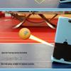 Double Fish Portable Automatic Table Tennis Robot