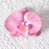 Headdress Simulated Flower Handmade Accessories Butterfly Orchid Flower Earring   Women