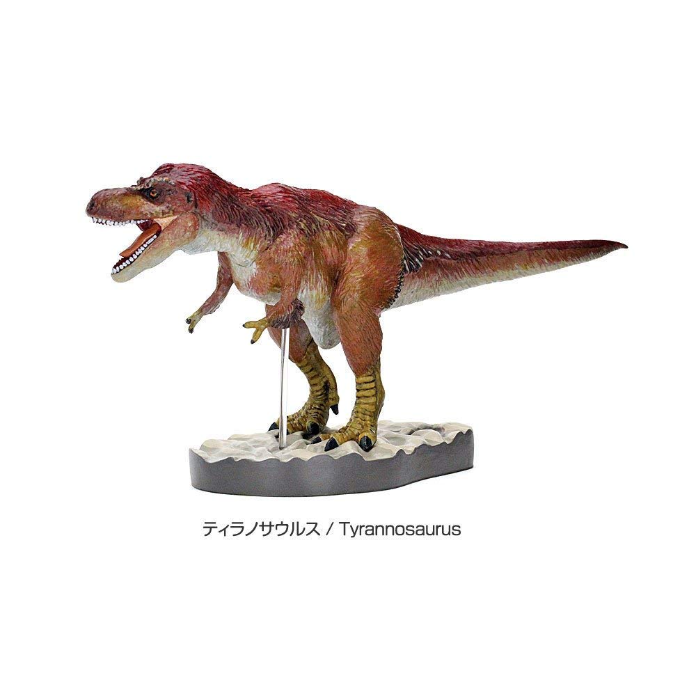 Calorata Feathered Dinosaur 3D Encyclopedia Includes Manual and Realistic Figure Educational Food Sanitation Law Gift Figures, (7 Dinosaurs, Stand),