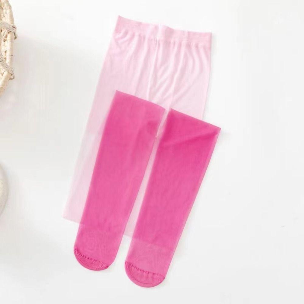 Thin Gradient Stockings Transparent Women Gradient Tights Stylish Pantyhose Tights  Women
