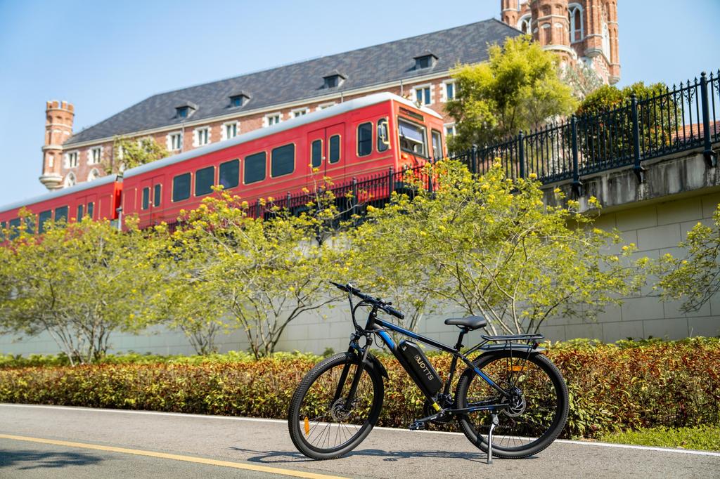 DUOTTS C29 Elektrofahrrad 750W Motor 48V 15AH Lithiumbatterie Elektrofahrrad 29-Zoll-Reifen 21-Gang Pendler E-Bike