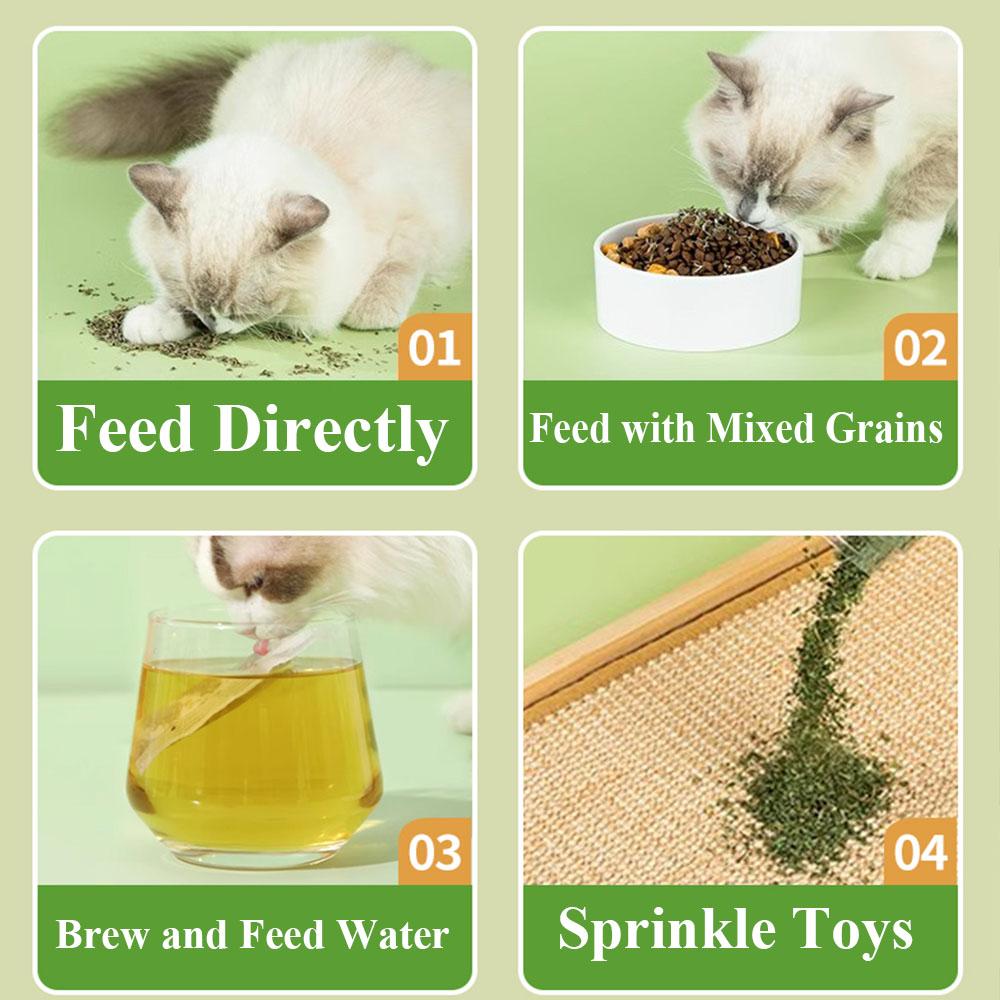 Catnip Tea Bag Soaking Water Replacement Pouch Cat Grass Teabag Toy Pet Multipurpose Cat Treats Vitamins Indoor Catnip