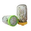 For 86mm Jar Seed Growing Germination Sealing Ring Lid Sprouting Lid Mesh Sprout Cover Strainer