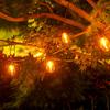 Solar LED String Lights Waterproof Solar Lights For Yard 8 Modes Romantic Outside Lighting Home Decoration For Party Garden