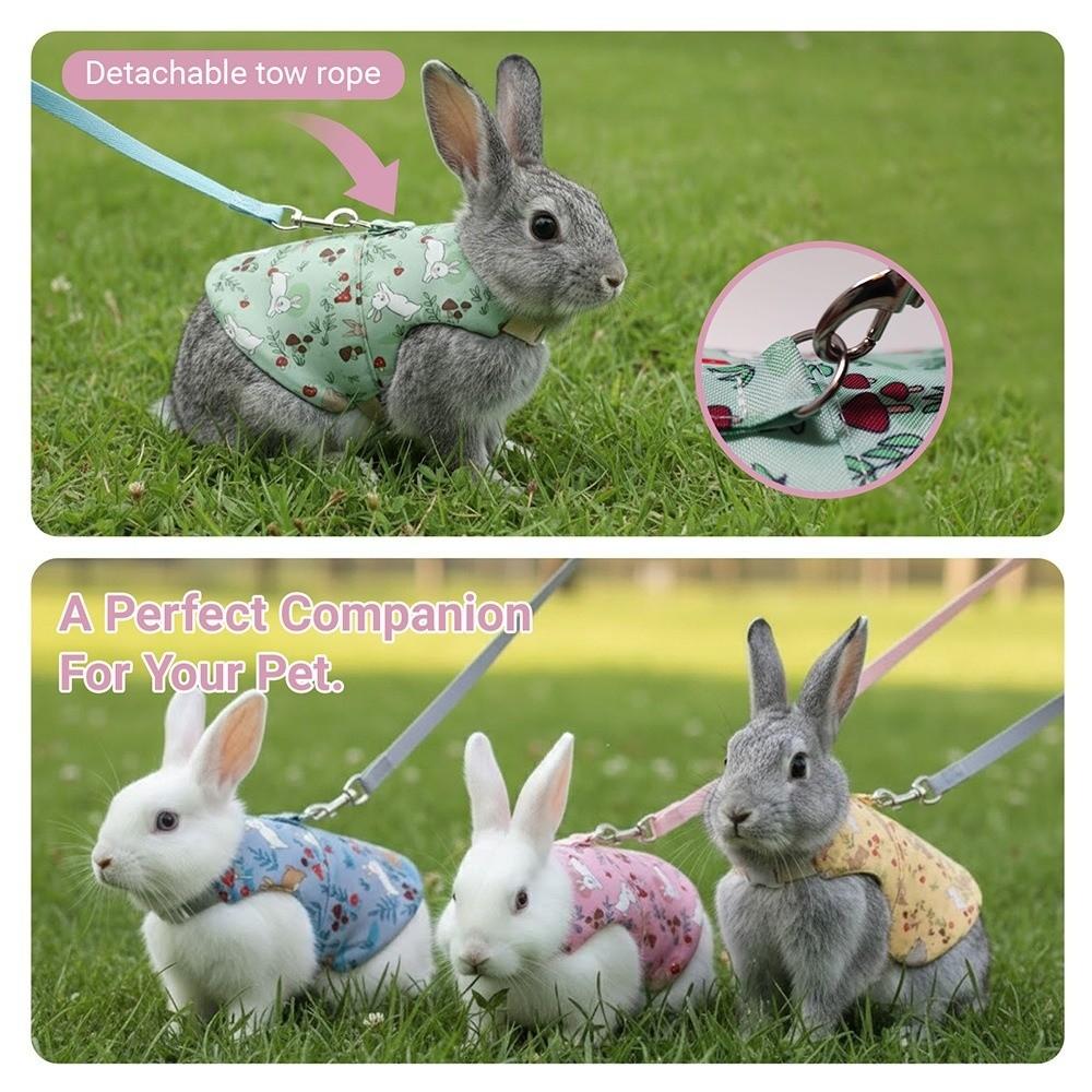 Breathable Guinea Pigs Vest Adjustable Rabbit Leash Set Cute Pet Harness and Leash  Daily Wear