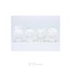 [Pre-order] SHINee - 10CM Doll (PRISM VER.)