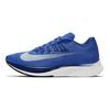 Zoom Fly