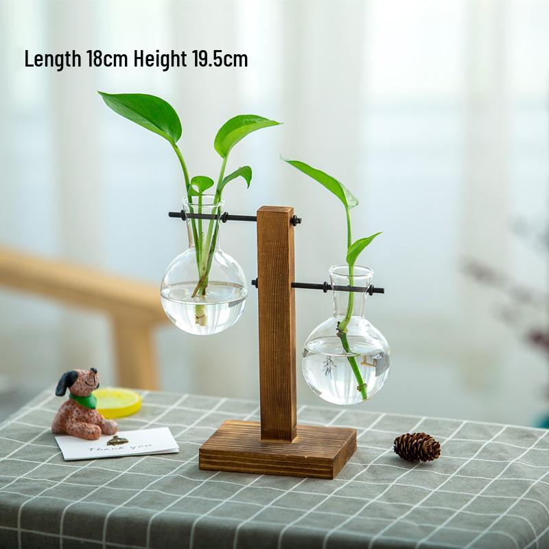 Minimalist Glass Vase with Wooden Stand for Pothos Plants – Hydroponic Desktop Ornament