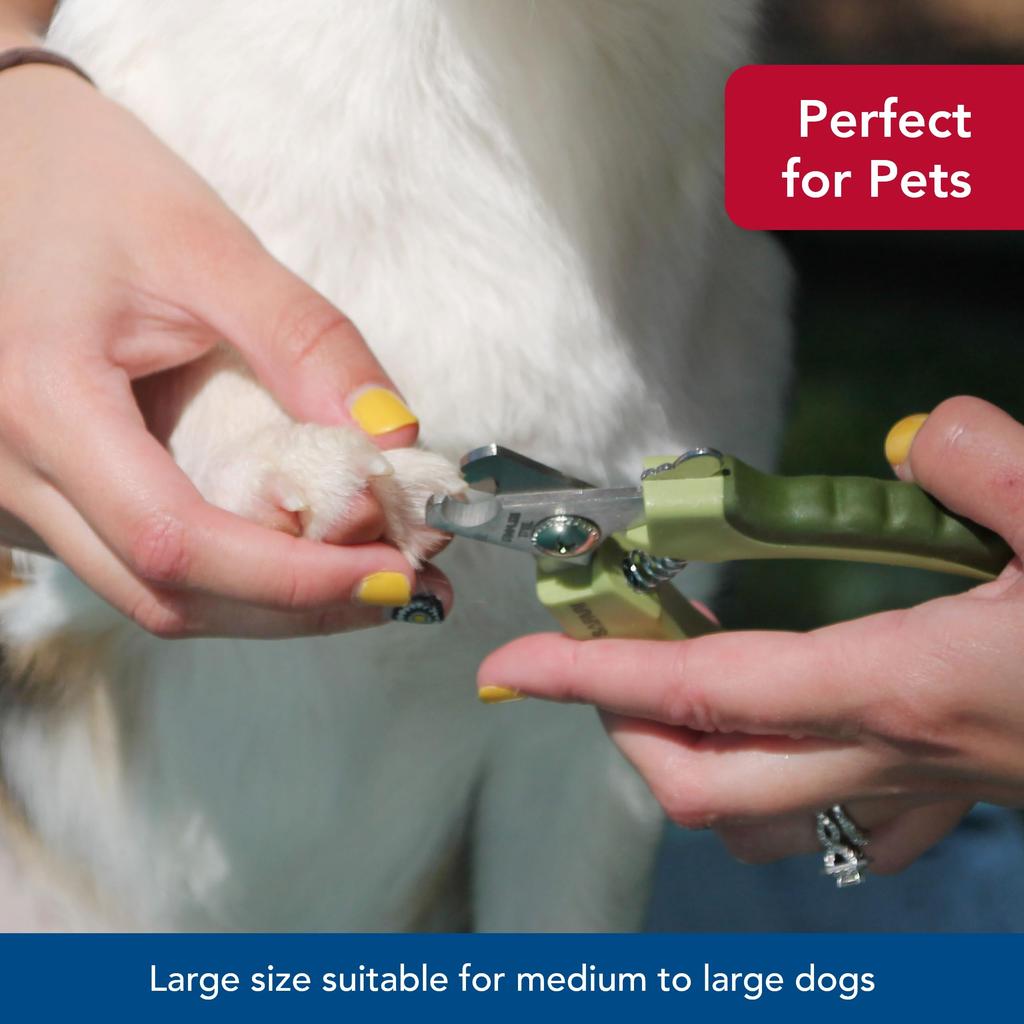 Safari Professional Stainless Steel Nail Trimmer for Dogs (Small/Medium Size)