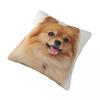 Pillow Cover Pomeranian Dog Graphic Cushion Cover Cute Pet Vintage Pillow Case For Office Car Home Decorative Pillowcases