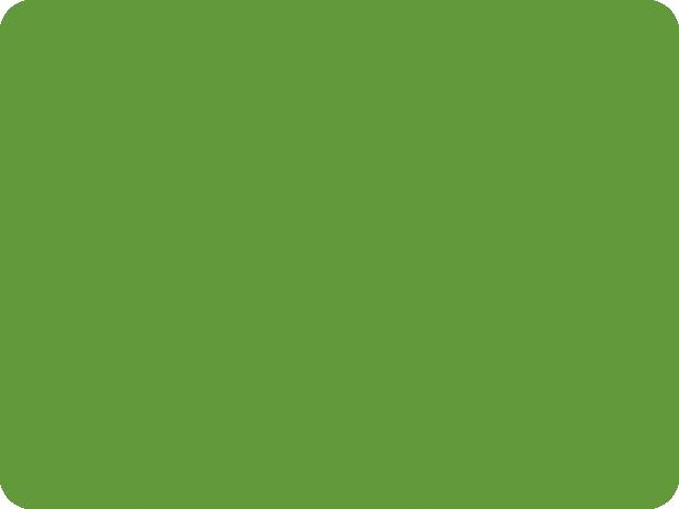 ACRYLIC SPRAY VARNISH RAL 6018 LIGHT GREEN