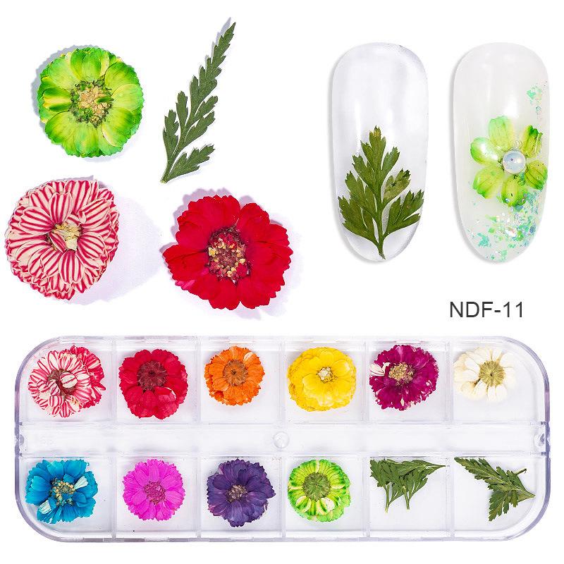 1Box Dried Flowers Dry Plants for Rsein Molds Fillings Epoxy Resin Pendant Tweezers Jewelry Making Craft DIY Nail Art Decoration