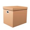 JINGRUIXIANG Moving Box with Hand Holes