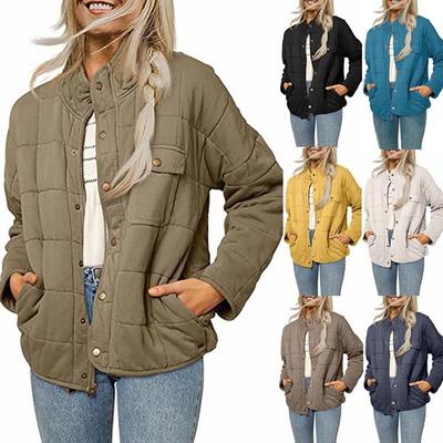 Chaqueta ligera y holgada con cuello para mujer, nueva chaqueta de otoño e invierno de 2024 para mujer de Europa y Estados Unidos