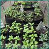 Multi-Pocket Rectangular Felt Planting Bag for Vegetables and Flowers
