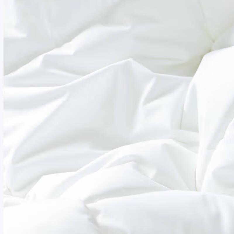 Premium White Goose Down Comforter