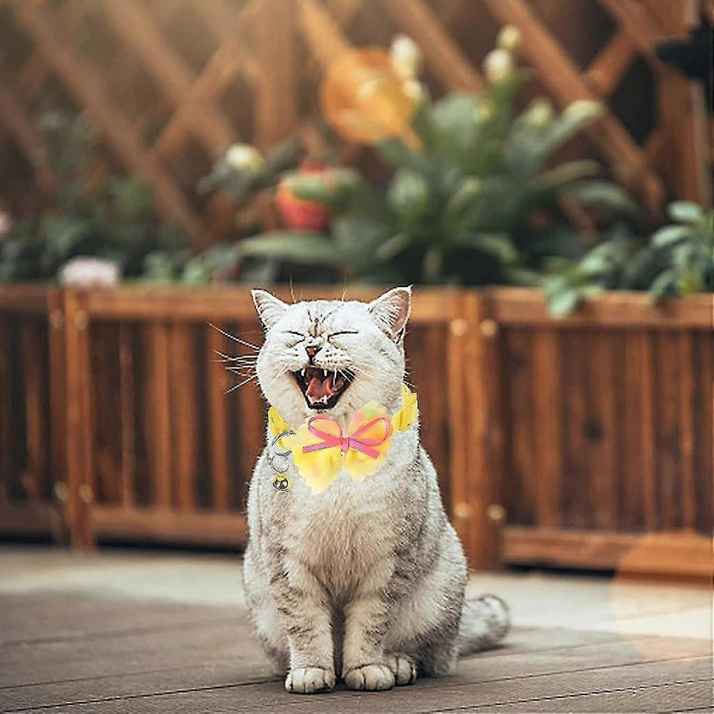 6-piece Cat Collar With Bow And Bow, 19-32cm, 6 Colors
