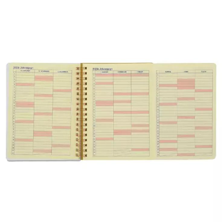 Disney Rapunzel Rollbahn Diary L Planner/Schedule Book CALENDAR & ORGANIZER 2026